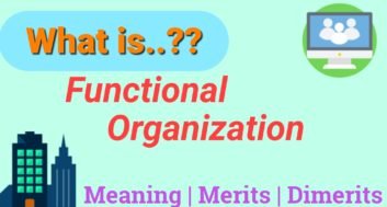 Functional Organizations: Meaning & Structure with Merits and Demerits