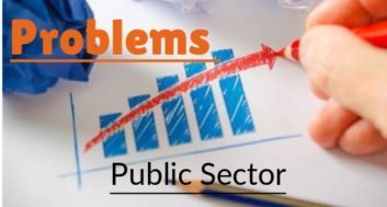 17 Major Problems of Public Sector (Business Environment)