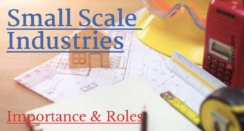 Importance and Role of Small-Scale Industries