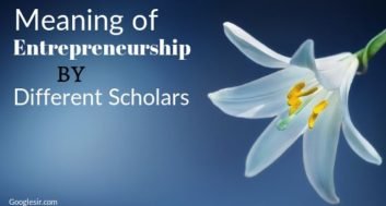 definition of entrepreneurship by different scholars