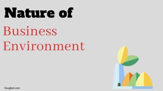 relationship between business and environment