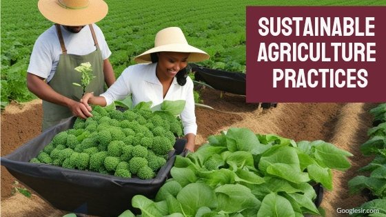 types of sustainable agricultural practices